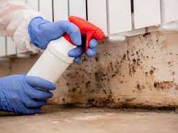 Best Mold Remediation for Healthcare Facilities  in East Syracuse, NY